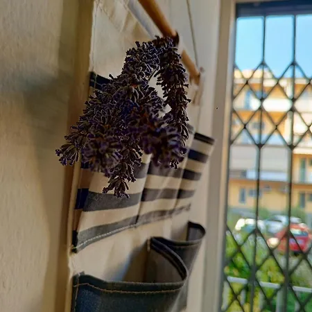 Di Fronte Alla Casa Di Carducci דירה בולוניה
